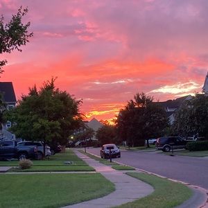 Meet your Posher, Siobhan